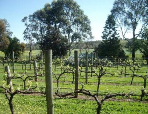 Southern Vales Bed & Breakfast - Accommodation Rockhampton 1