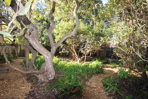 Stonewall Cottage And Studio - Accommodation Rockhampton 2