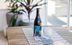 Stylish Modern Apartment Bondi Beach - thumb 3