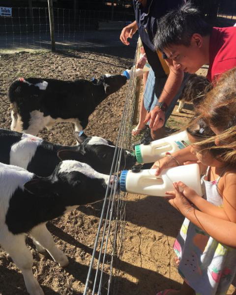 Sunflowers Animal Farm & Farmstay - Accommodation Rockhampton 3