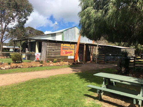 Sunflowers Animal Farm & Farmstay - Accommodation Rockhampton 2