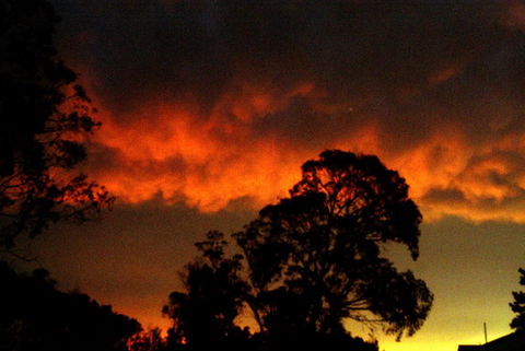 Taits Place Vineyard B & B - Accommodation Rockhampton 0