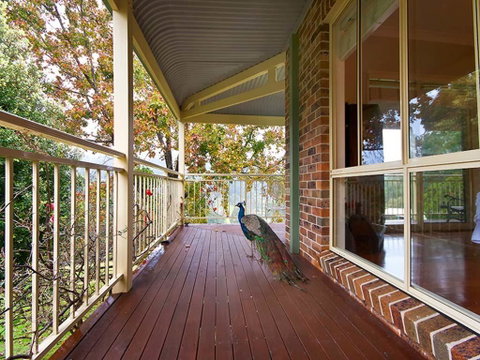 The Acreage Luxury B&B And Guesthouse - Accommodation Rockhampton 1