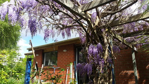 Birch Lane - Accommodation Rockhampton 42