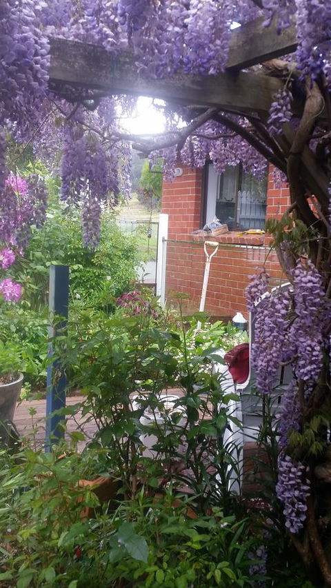 Birch Lane - Accommodation Rockhampton 41