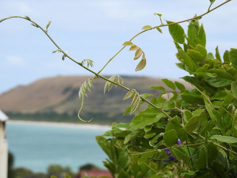 Ellie\'s Cottages - Accommodation Rockhampton 3