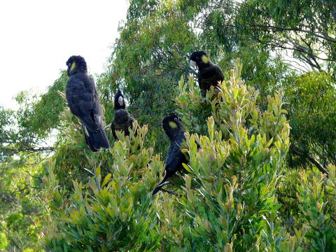 Eagles Rise Tasmania - Accommodation Rockhampton 10