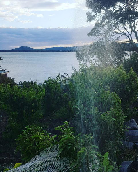 AppleBay Guest House - Accommodation Rockhampton 31