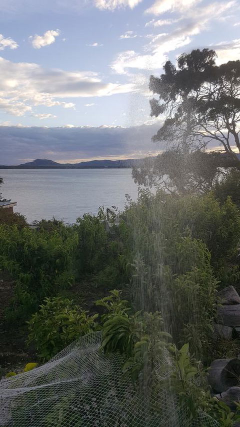 AppleBay Guest House - Accommodation Rockhampton 22