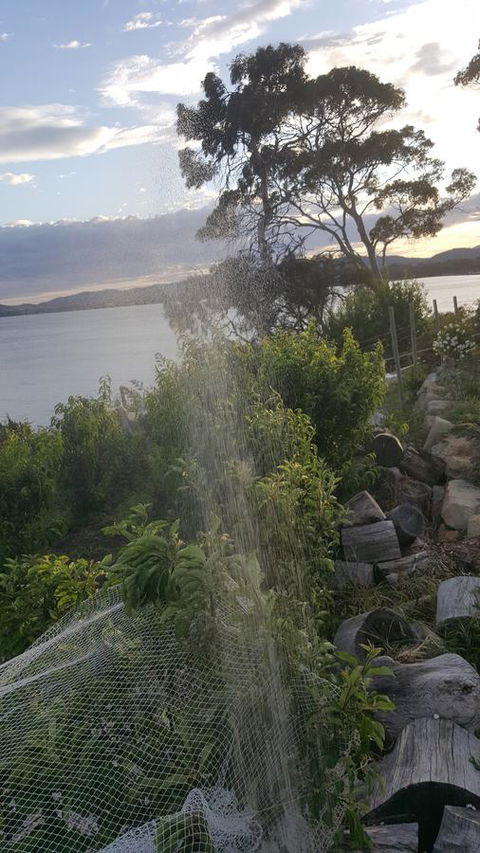 AppleBay Guest House - Accommodation Rockhampton 21