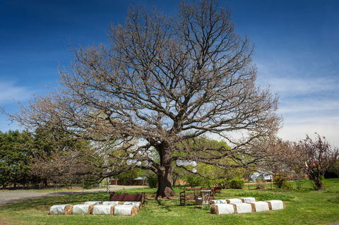 Ratho Farm - Accommodation Rockhampton 8