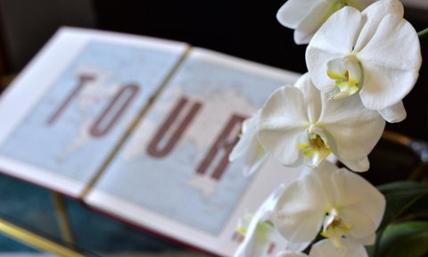 Lotus Gogh Apartment - Accommodation Rockhampton 6