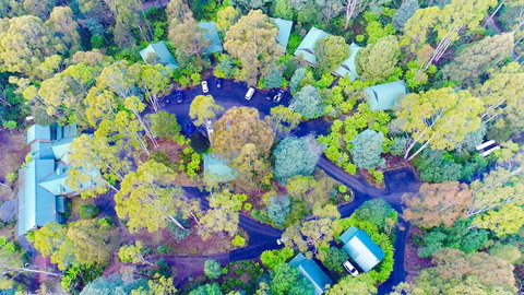 Lemonthyme Wilderness Retreat - Accommodation Rockhampton 1