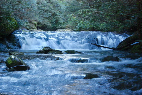 Lemonthyme Wilderness Retreat - Accommodation Rockhampton 10