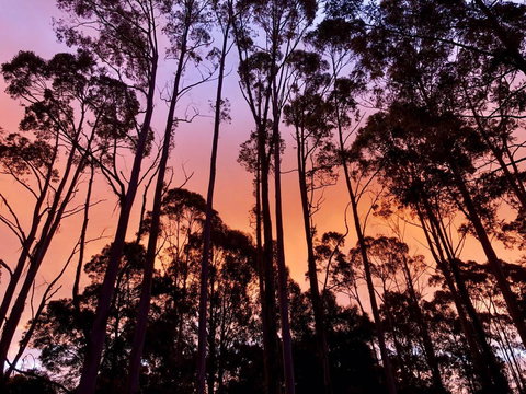 Lemonthyme Wilderness Retreat - Accommodation Rockhampton 8