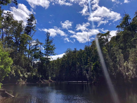 Lemonthyme Wilderness Retreat - Accommodation Rockhampton 7