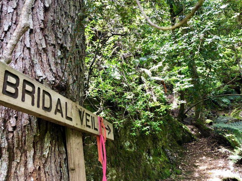 Lemonthyme Wilderness Retreat - Accommodation Rockhampton 18