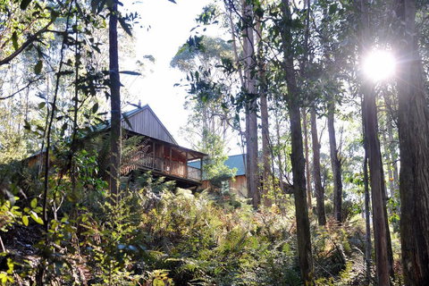 Lemonthyme Wilderness Retreat - Accommodation Rockhampton 25