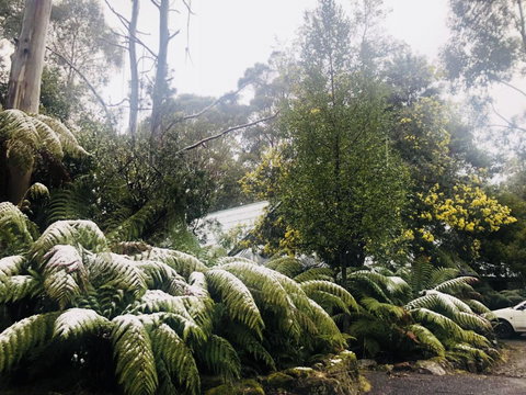 Lemonthyme Wilderness Retreat - Accommodation Rockhampton 16