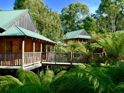 Lemonthyme Wilderness Retreat - Accommodation Rockhampton 11