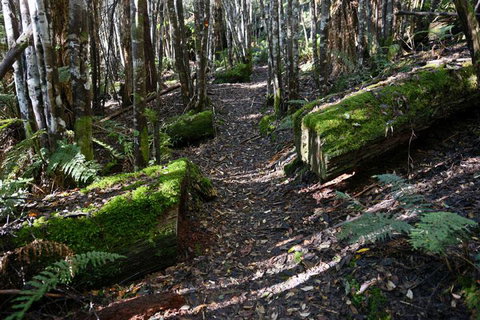 Lemonthyme Wilderness Retreat - Accommodation Rockhampton 22