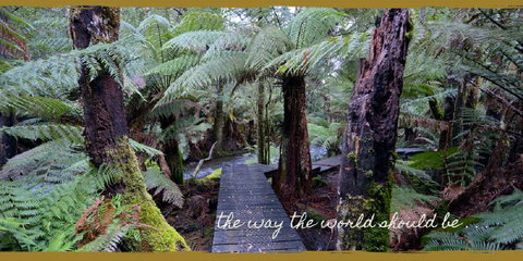 Lemonthyme Wilderness Retreat - Accommodation Rockhampton 17