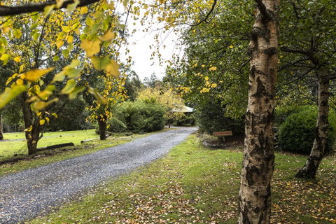 Cradle Forest Inn - Accommodation Rockhampton 36