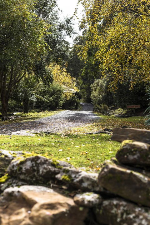 Cradle Forest Inn - Accommodation Rockhampton 34