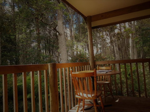Cradle Forest Inn - Accommodation Rockhampton 2