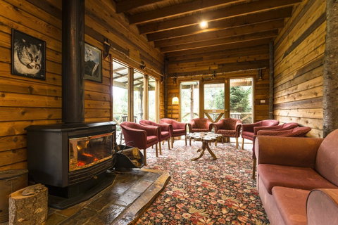 Cradle Forest Inn - Accommodation Rockhampton 1