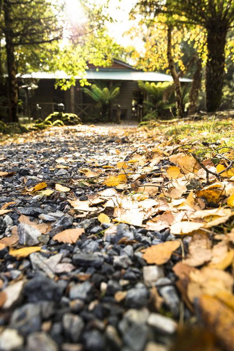 Cradle Forest Inn - Accommodation Rockhampton 35