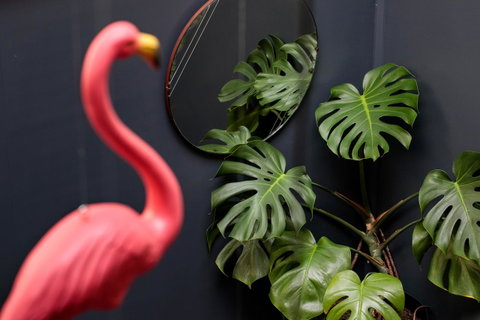 Alabama Hotel Hobart - Accommodation Rockhampton 15