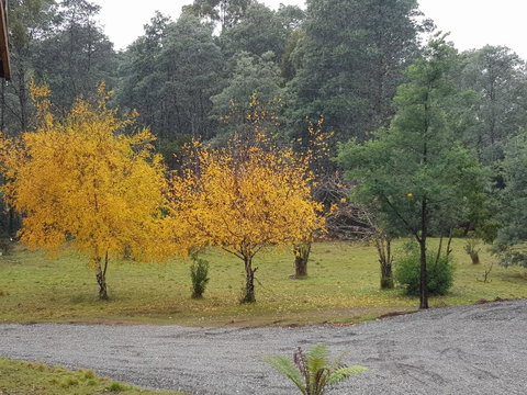 Cradle Alpine Retreat - Accommodation Rockhampton 3