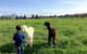 Taras Richmond Farmstay - thumb 0