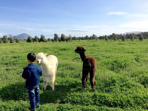 Taras Richmond Farmstay - Accommodation Rockhampton 0