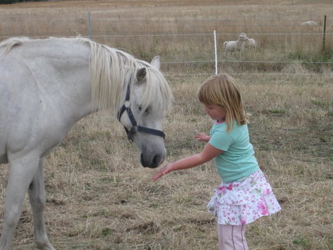 Taras Richmond Farmstay - Accommodation Rockhampton 19