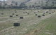 Taras Richmond Farmstay - thumb 18