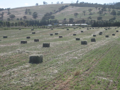 Taras Richmond Farmstay - Accommodation Rockhampton 18