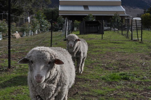 Taras Richmond Farmstay - Accommodation Rockhampton 14