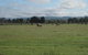 Taras Richmond Farmstay - thumb 13
