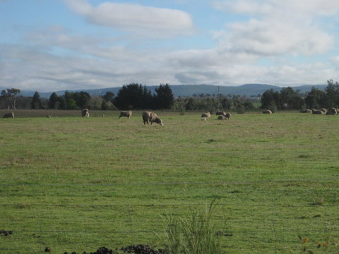 Taras Richmond Farmstay - Accommodation Rockhampton 13