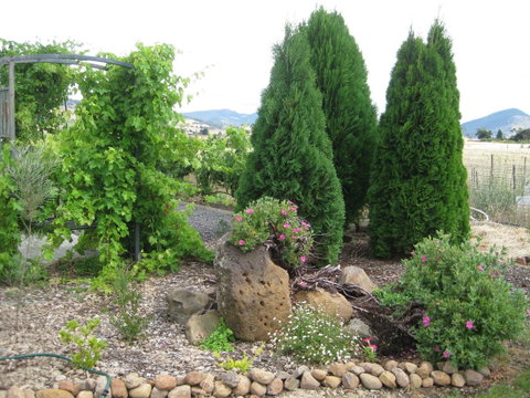 Taras Richmond Farmstay - Accommodation Rockhampton 23