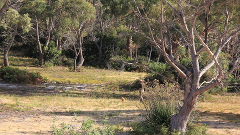 BAY OF FIRES SEACHANGE Ocean Frontage - Accommodation Rockhampton 12