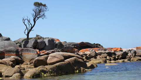 BAY OF FIRES SEACHANGE Ocean Frontage - Accommodation Rockhampton 21