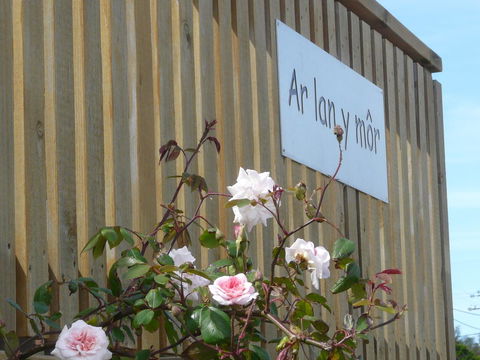 Ar Lan Y Mor - Accommodation Rockhampton 12