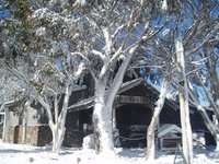 Book Dinner Plain Accommodation Vacations Accommodation Rockhampton Accommodation Rockhampton