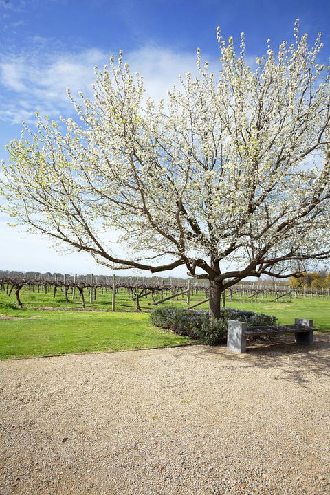 Lancemore Milawa - Accommodation Rockhampton 12