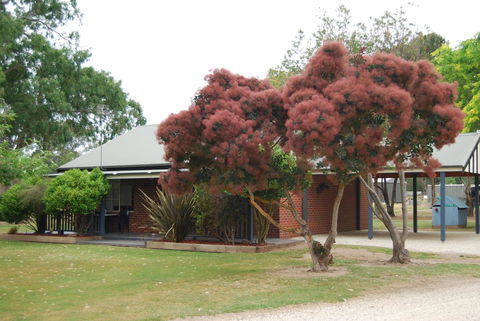 Greenvale Holiday Units - Accommodation Rockhampton 9