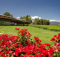 Balgownie Estate Vineyard Resort  Spa - Accommodation Rockhampton