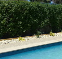 Robinvale Bridge Motel - Accommodation Rockhampton